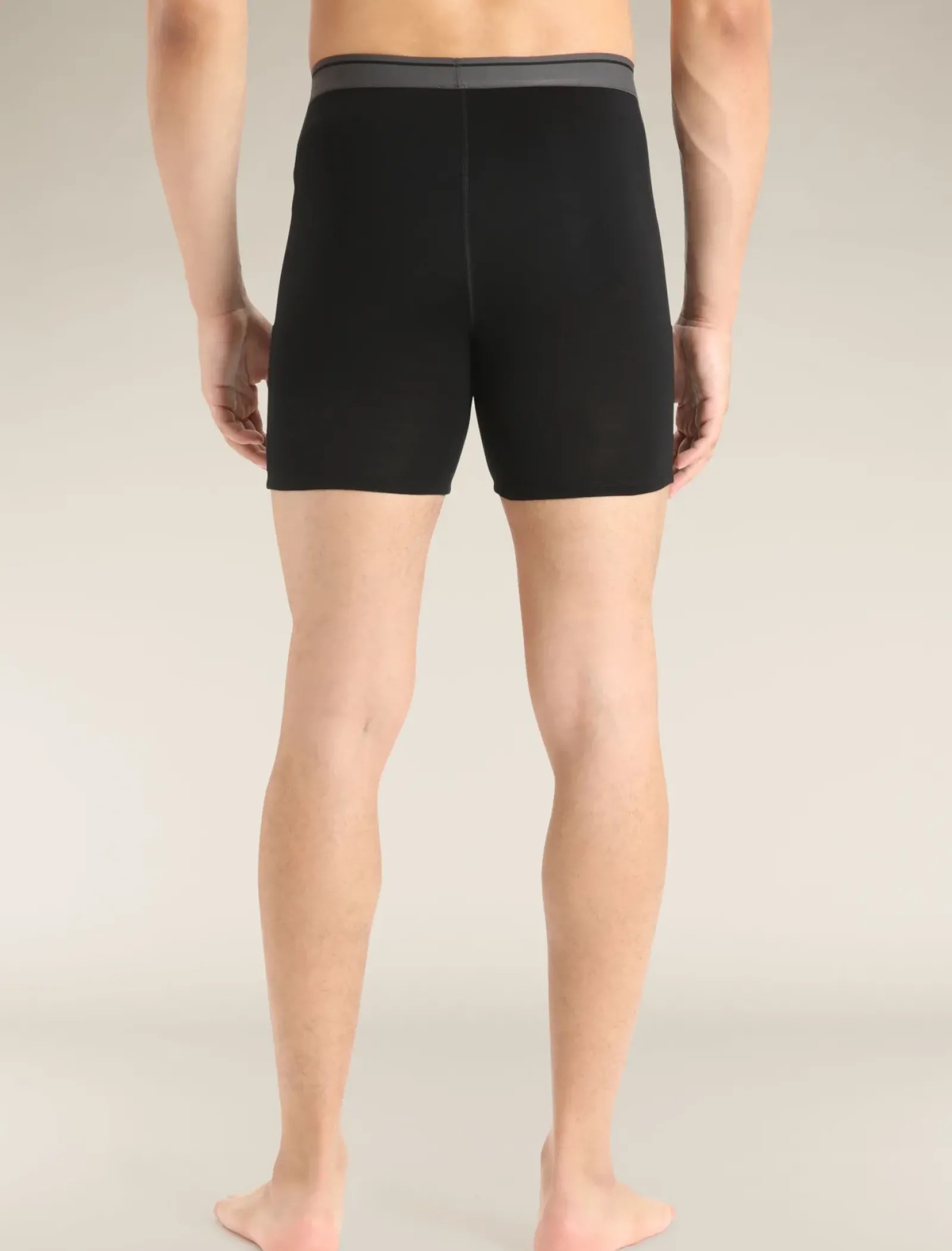 Men's Merino 150 Anatomica Long Boxers-Icebreaker