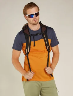 Icebreaker Men's Merino Blend 125 Cool-Lite™ Sphere Short Sleeve T-Shirt Colour Block Ray/Graphite Cheap