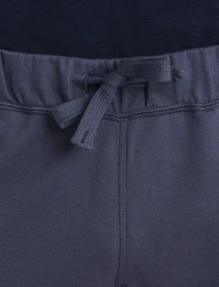 Icebreaker Men's Merino Blend 200 Shifter Pants Graphite Cheap